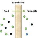 grafic membrane