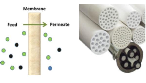 Membrane Extraction Technology 